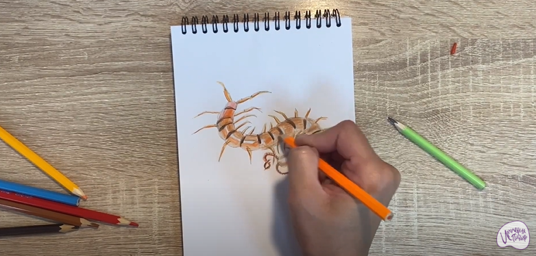 Рисуем Сороконожка