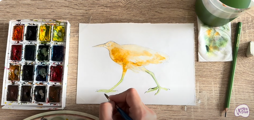 Рисуем Выпь Рисуем Выпь