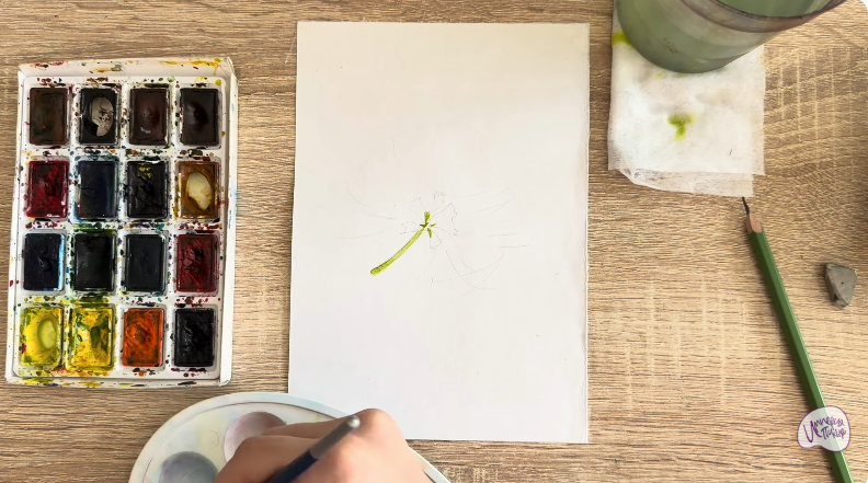 Рисуем Альбиция