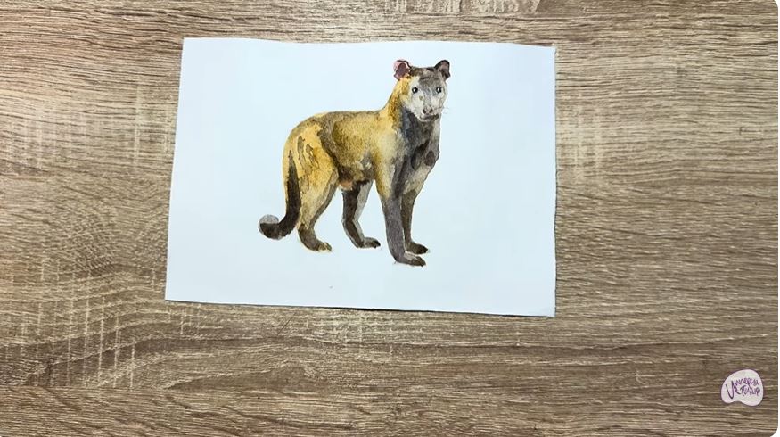 Рисуем Фосса Рисуем Фосса