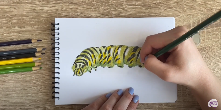 Рисуем Гусеница