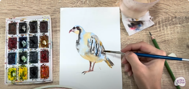 Рисуем Кеклик Рисуем Кеклик