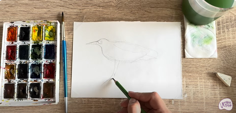 Рисуем Выпь Рисуем Выпь