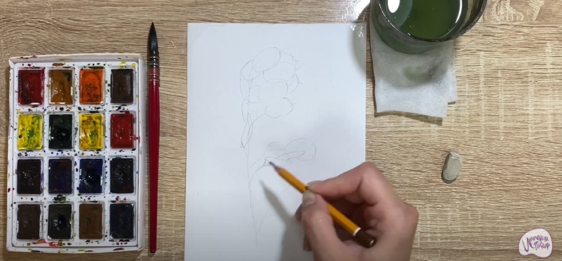 Рисуем Цветок "Лунария"