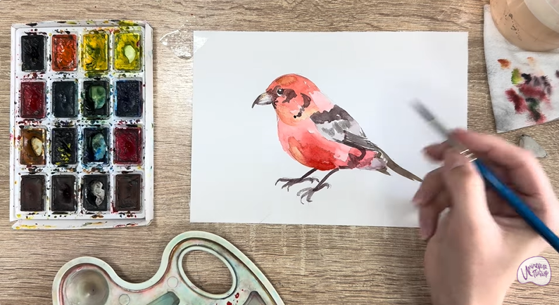 Рисуем Клест - еловик