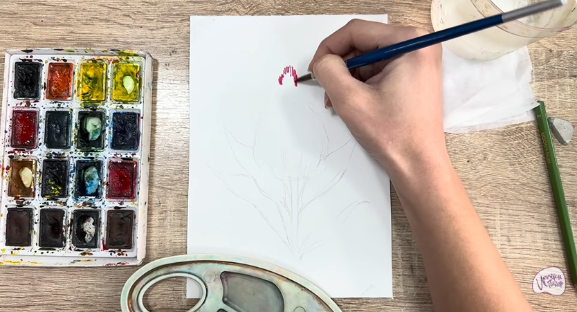 Рисуем Целозия