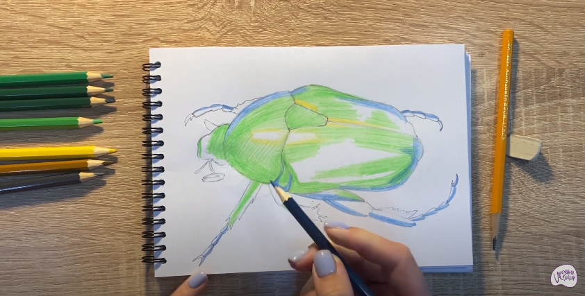 Рисуем Жук скарабей