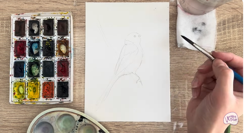 Рисуем Длиннохвостая синица