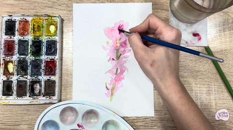 Рисуем Мирикария лисохвостая