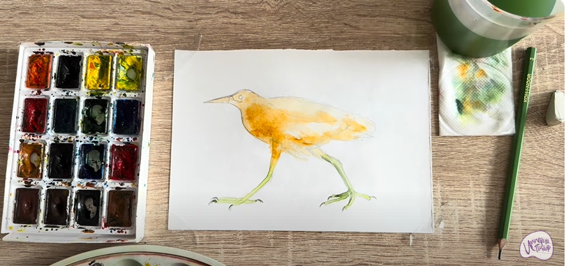 Рисуем Выпь Рисуем Выпь