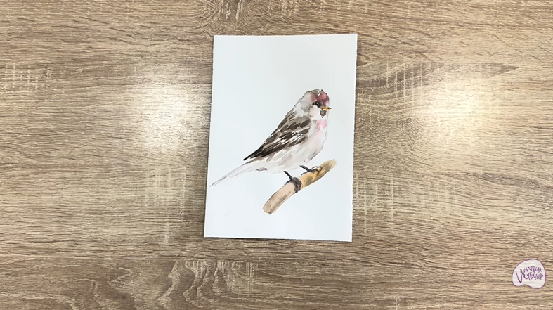 Рисуем Обыкновенная чечётка