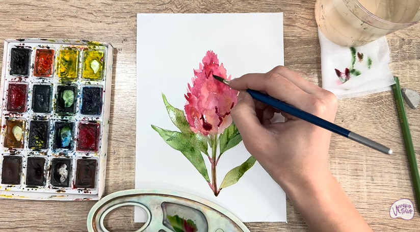 Рисуем Целозия