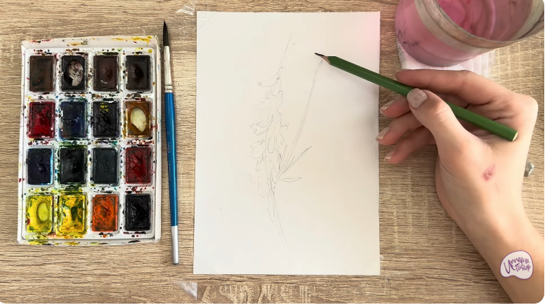 Рисуем Мышиный горошек