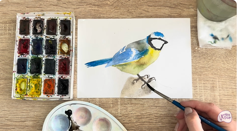 Рисуем Обыкновенная лазоревка