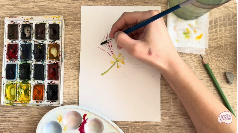 Рисуем Альбиция