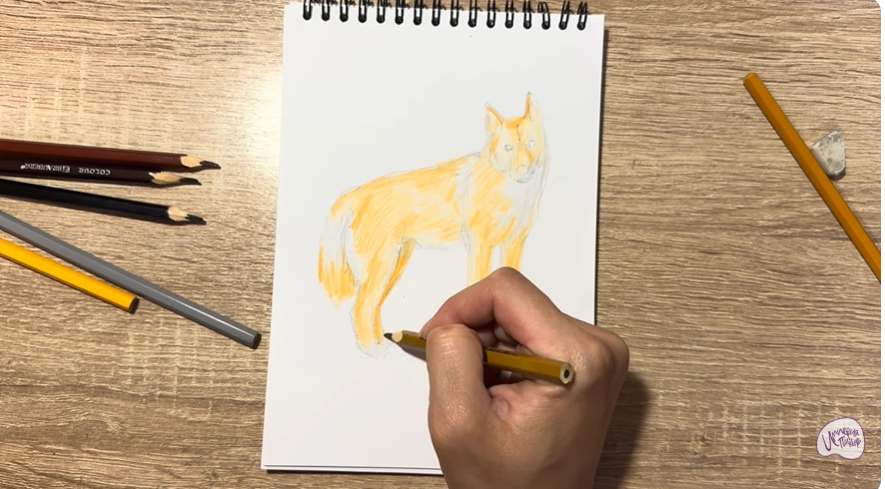 Рисуем Динго