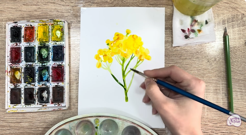 Рисуем Пижма