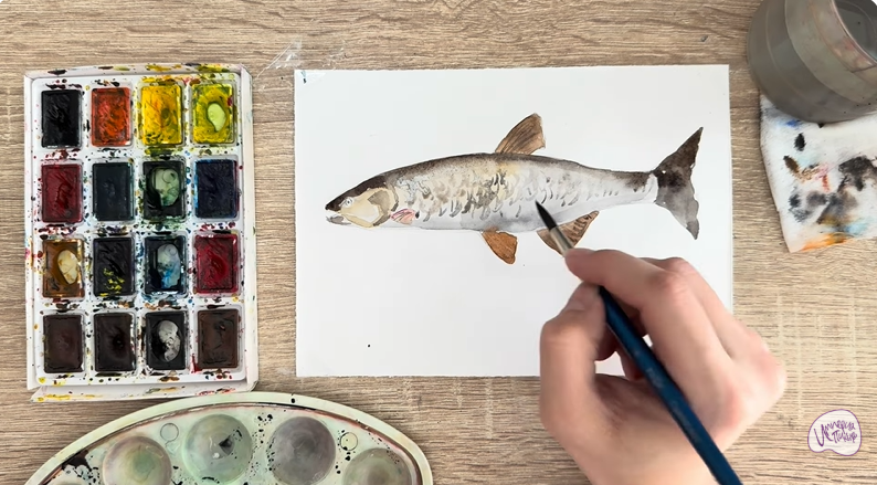 Рисуем Голавль