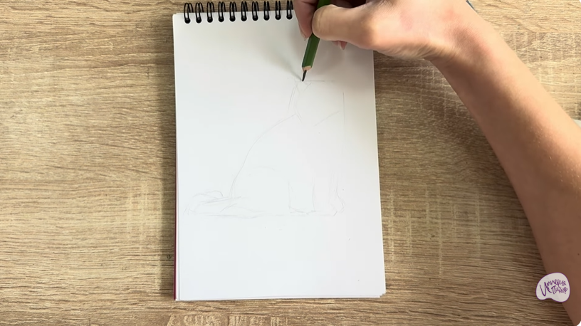 Рисуем Кошка породы Рэгдолл