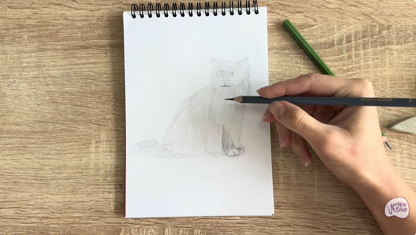 Рисуем Кошка породы Рэгдолл