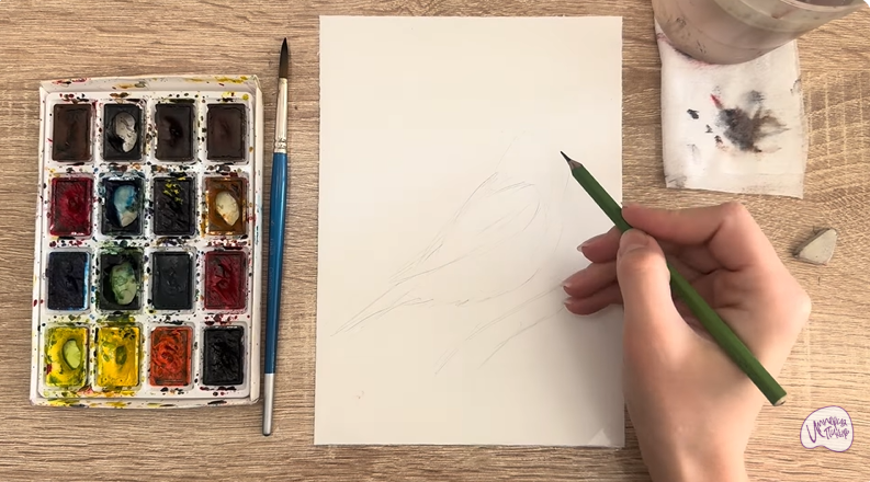 Рисуем Обыкновенная чечётка