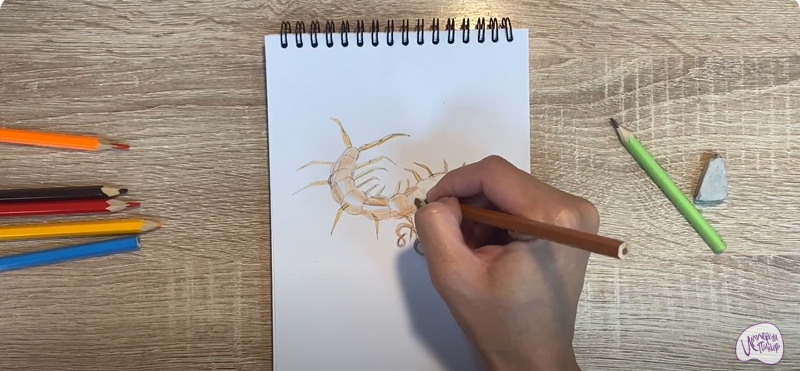 Рисуем Сороконожка
