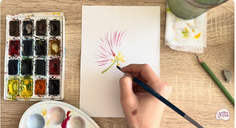 Рисуем Альбиция