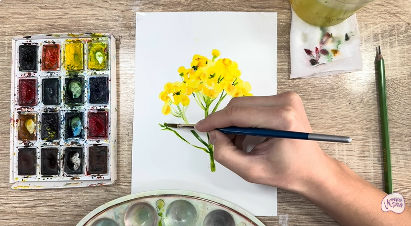 Рисуем Пижма