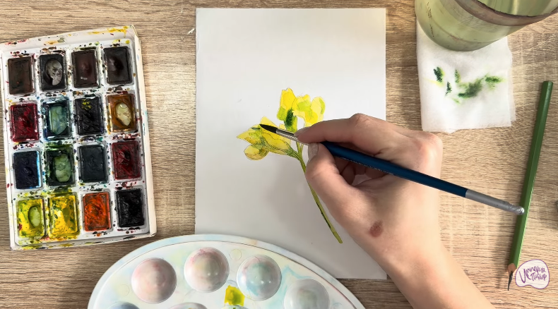 Рисуем Чина луговая