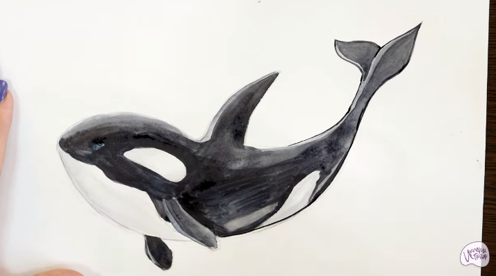 Рисуем Касатка