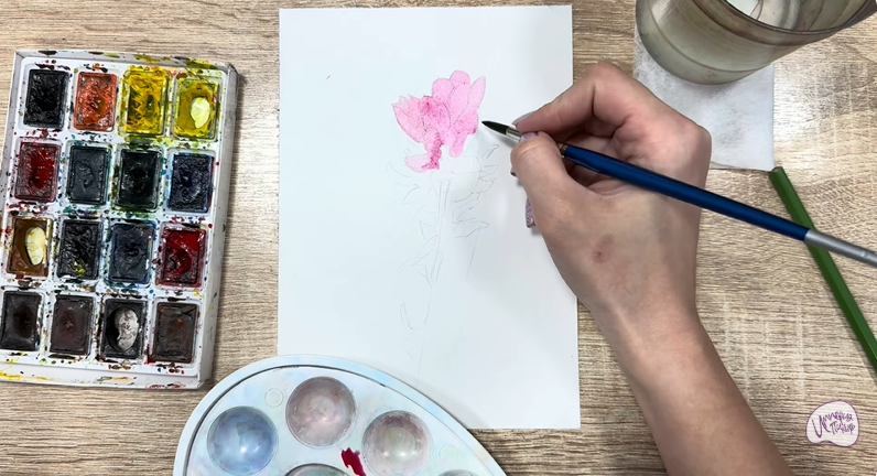 Рисуем Мирикария лисохвостая