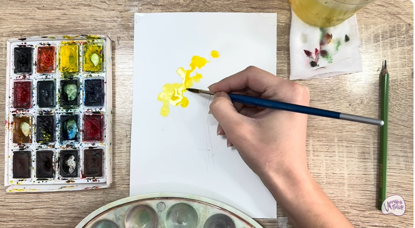 Рисуем Пижма