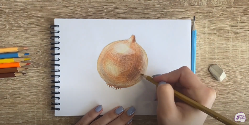 Рисуем Луковица