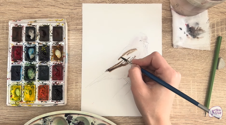 Рисуем Обыкновенная чечётка