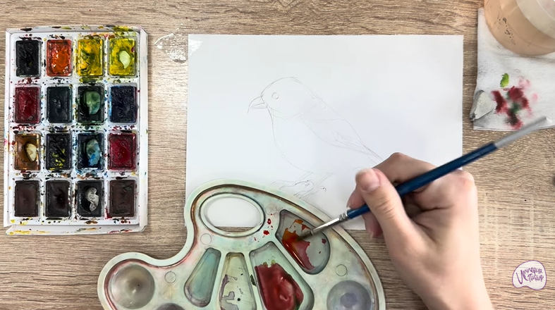 Рисуем Клест - еловик