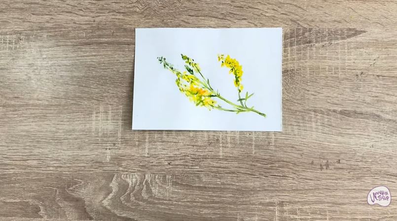 Рисуем Донник