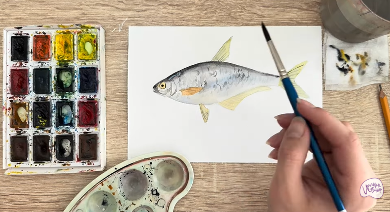 Рисуем Белоглазка