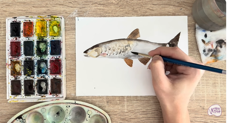 Рисуем Голавль