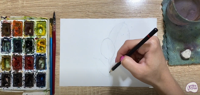Рисуем Фикус