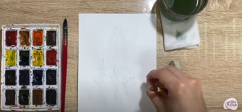 Рисуем Цветок "Маттиола"