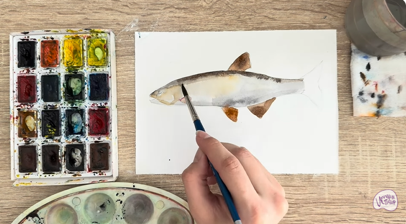 Рисуем Голавль