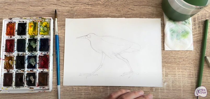 Рисуем Выпь Рисуем Выпь