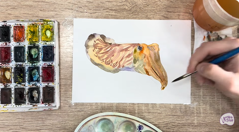 Рисуем Каракатица