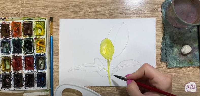 Рисуем Фикус