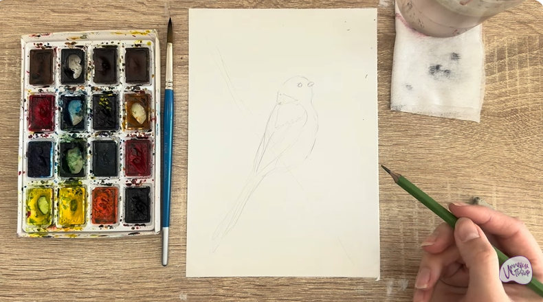 Рисуем Длиннохвостая синица