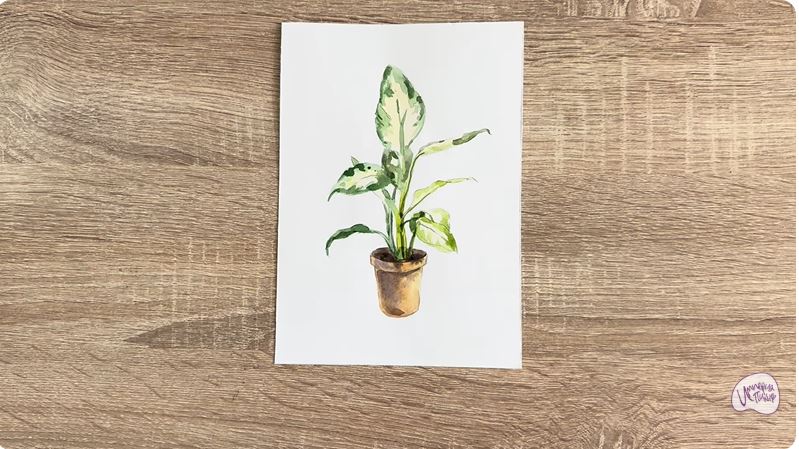 Рисуем Диффенбахия в горшке Рисуем Диффенбахия в горшке