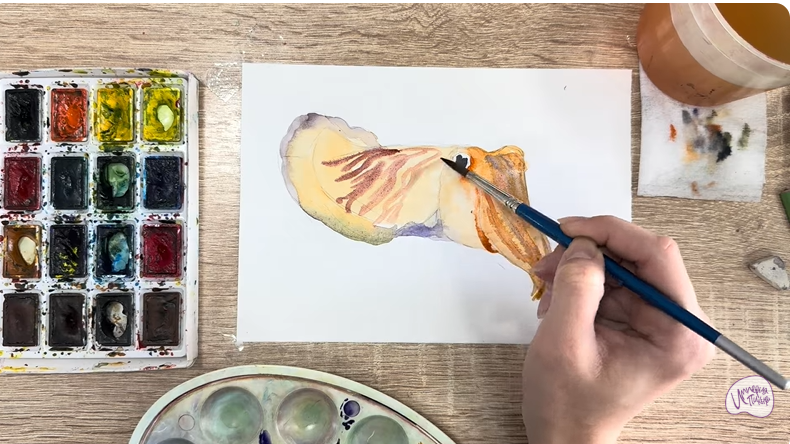 Рисуем Каракатица