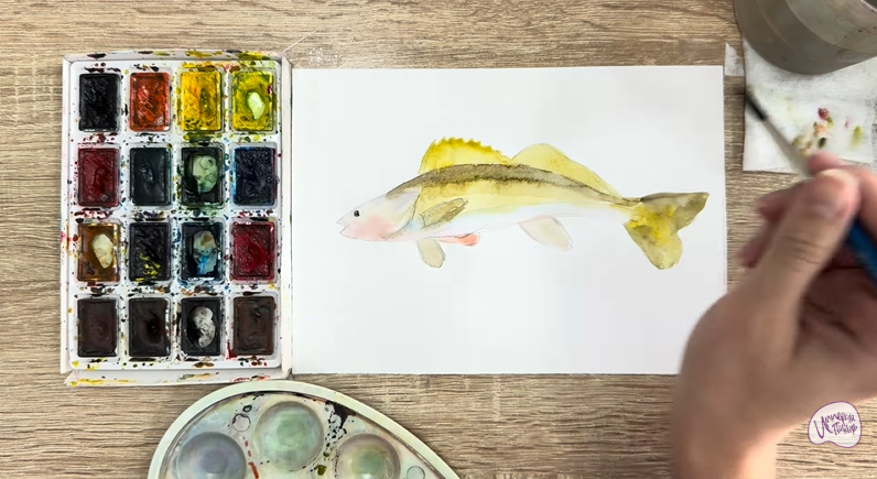 Рисуем Берш