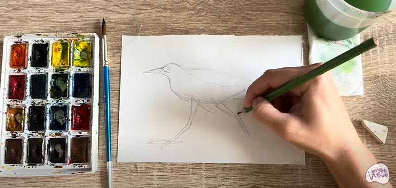 Рисуем Выпь Рисуем Выпь