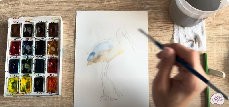 Рисуем Колпица Рисуем Колпица